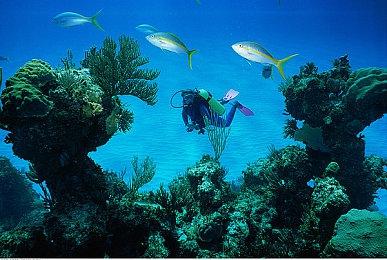 TGA 2022：《战锤40K：星际战士2》新预告 2023年发售